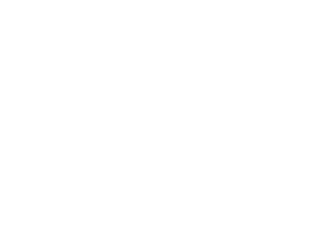 Silver Microsoft Partner